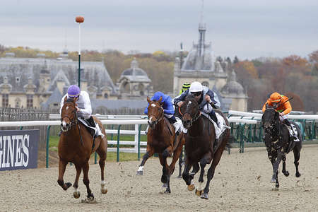 Actualités Hippiques